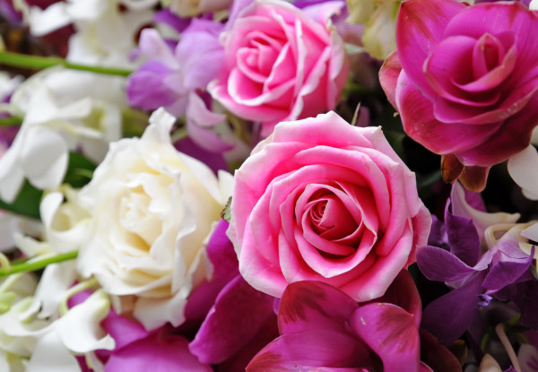 Roses in a bouquet of flowers