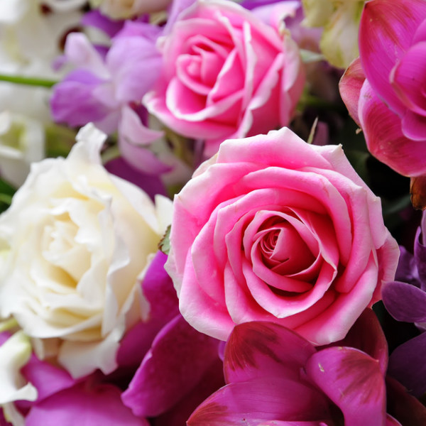 Roses in a bouquet of flowers