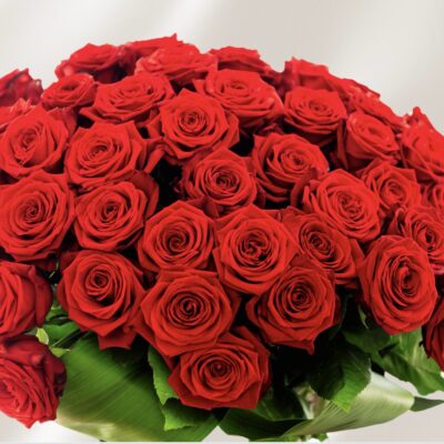 1 Dozen Roses (Valentines Day Only)