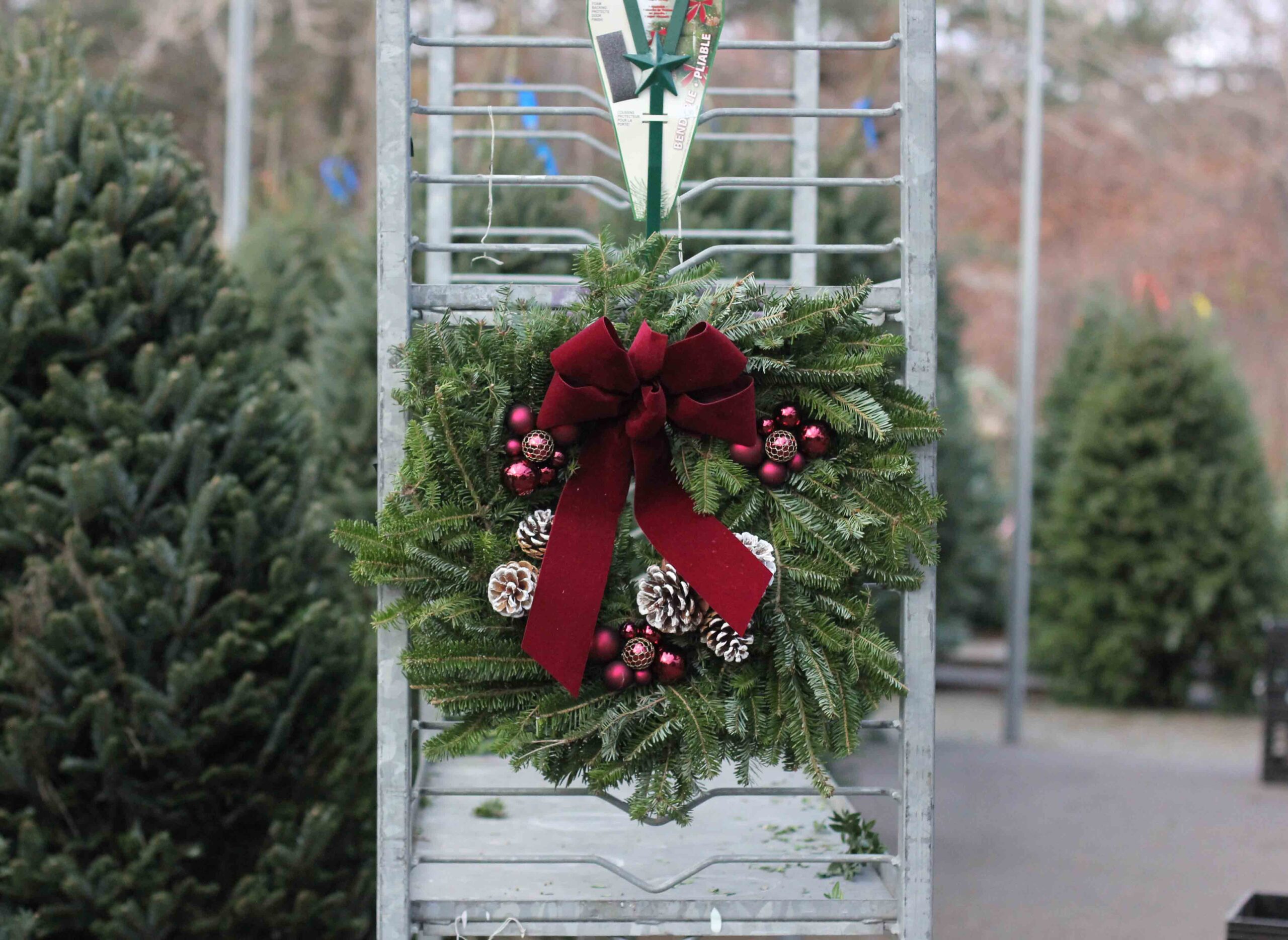 12" Decorated Wreaths