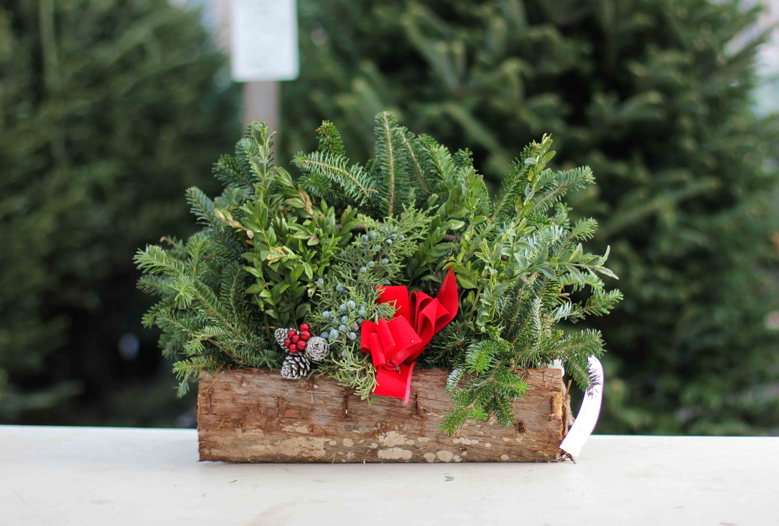 Large Decorated Cedar Logs