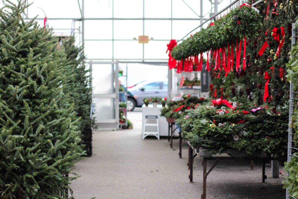 Lamberts Fruit Westwood Dorchester