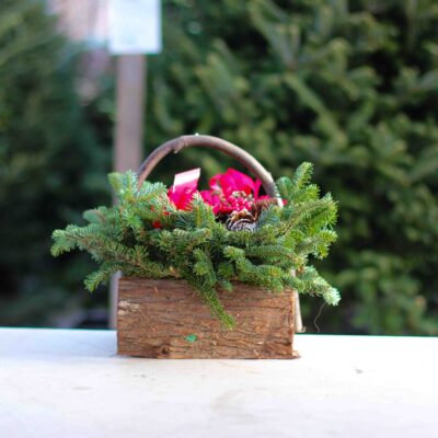 Small Decorated Cedar Logs