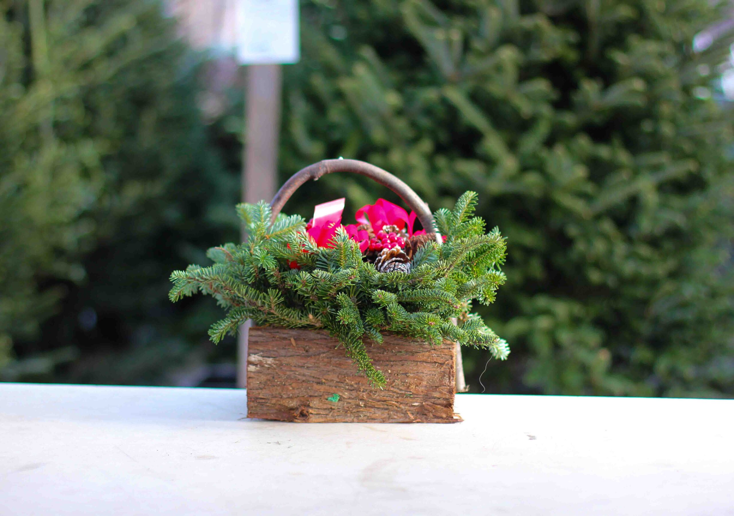 Small Decorated Cedar Logs
