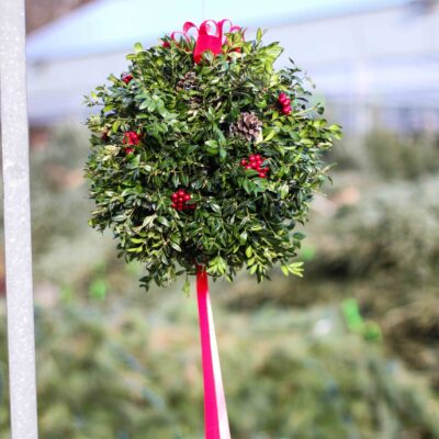 Boxwood kissing balls