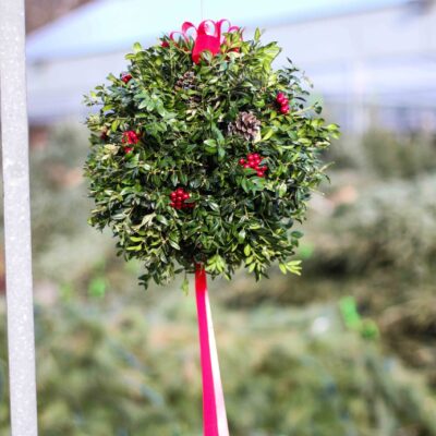 Boxwood kissing balls