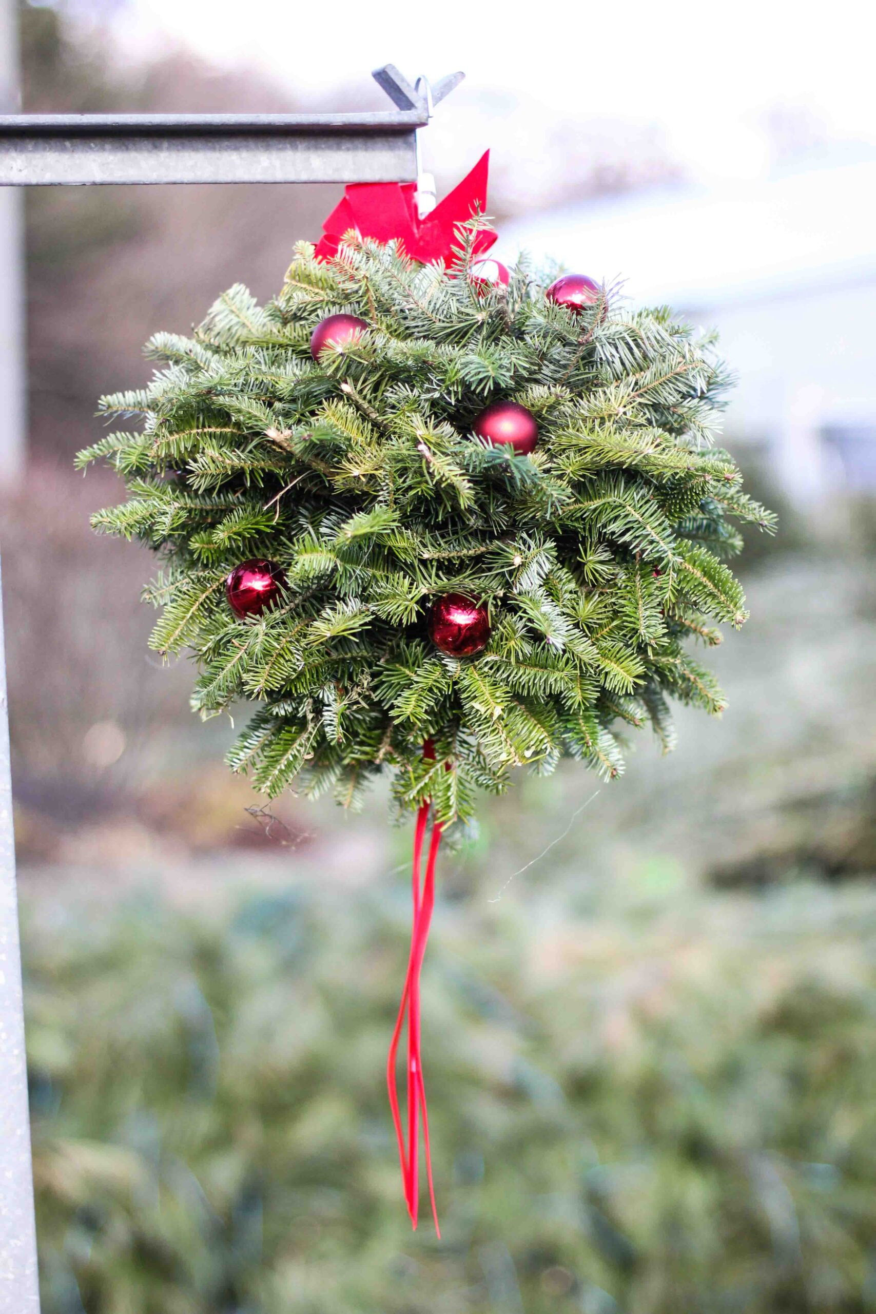 Balsam Kissing Balls