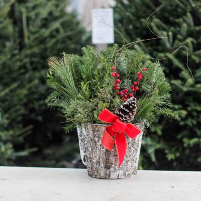 8" Birch Tin Planter