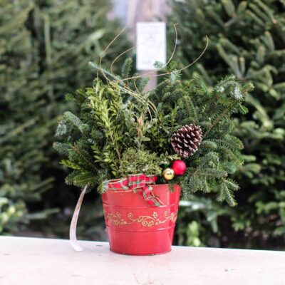8" Red Leaf Planter